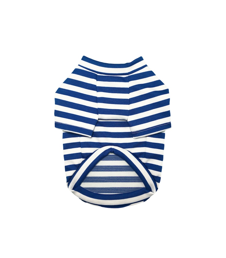 May include: A blue and white striped dog shirt with short sleeves.