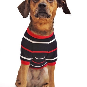 Puede incluir: Un perro marr&oacute;n y negro con un su&eacute;ter a rayas azules y rojas, sentado y mirando hacia arriba.