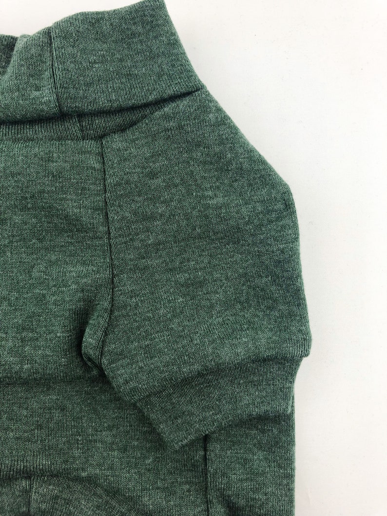 May include: A dark green turtleneck sweater for a pet. The sweater is made of a soft, knitted fabric.