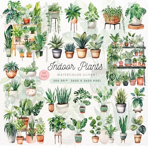 Imágenes prediseñadas de plantas de interior de acuarela, paquete de imágenes prediseñadas de plantas de casa, colección de imágenes prediseñadas de plantas, plantas de interior digitales, descarga instantánea, pegatina de plantas