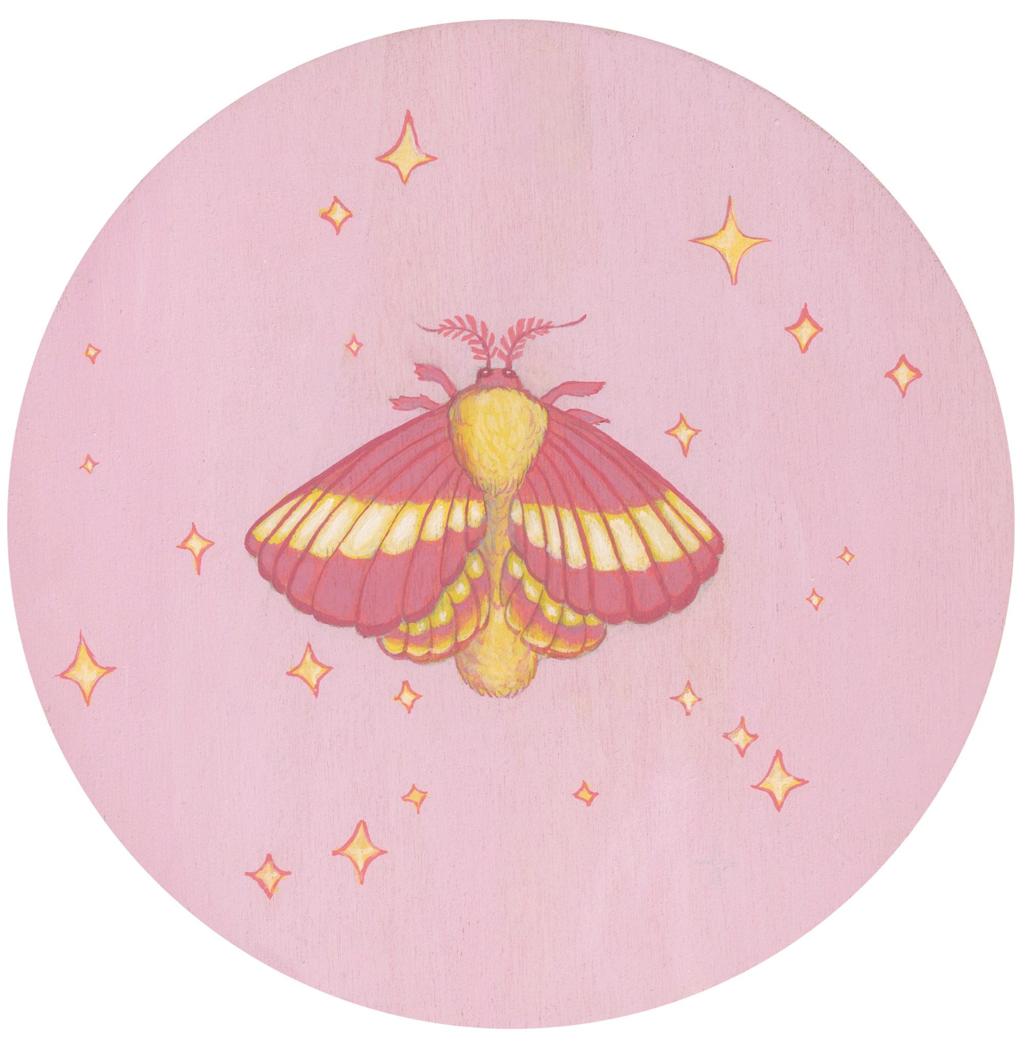 Rosy Maple Moth Painting  Pink and Yellow Moth & Samara Painting - The  Copper Wolf