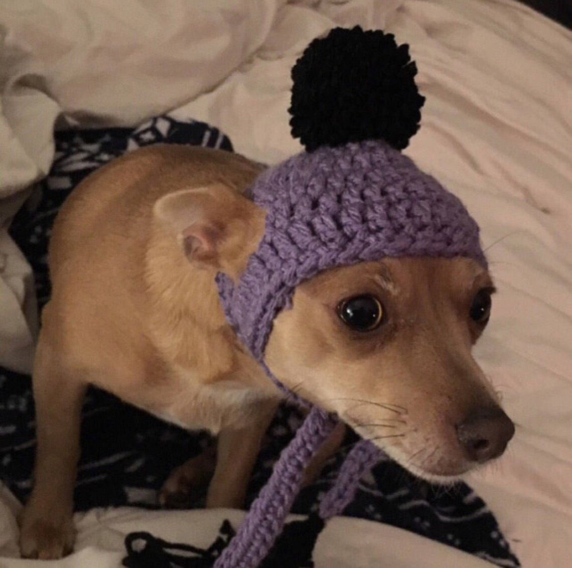 Rastafarian dog hat rastafari dog hat rasta dog hat Etsy