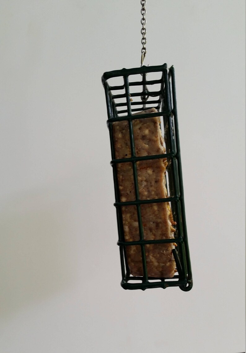Peanut Butter and Insect Suet Woodpecker Feeder Insect - Etsy