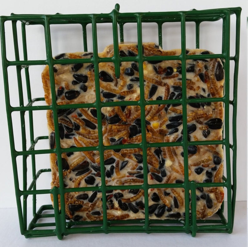 Seed Nut Insect and Hot Pepper Suet Suet Cake Squirrel Etsy