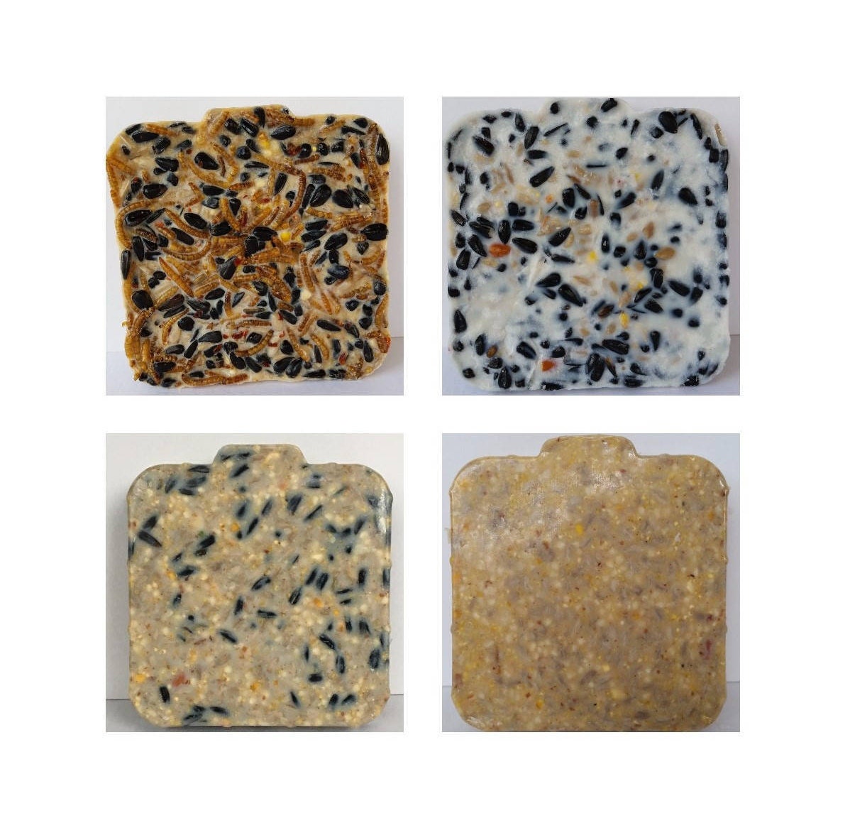 Mixed 12 Pack Suet Variety Pack Suet Feeder Winter Bird Feeder Bird