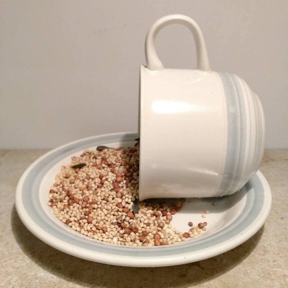 Teacup Feeder Teacup Backyard Birds Wild Bird Feeding Etsy