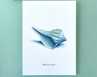 seashell illustration - art print