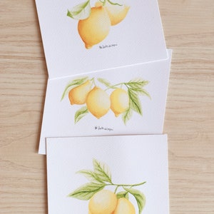 limoni - art print