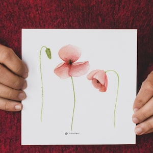 poppies - art print