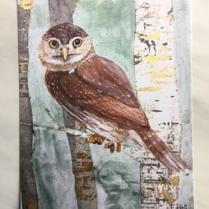 Little Owl postcard
