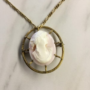 Pink and White Shell cameo