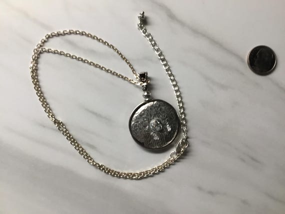 Turtle swimming, Picture button - image 6