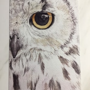 Snowy Owl postcard