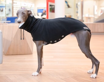 Whippet sweatshirt with turtleneck