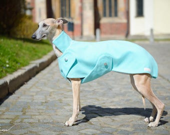 Elegant whippet coat - mint