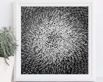 Sunflower Photography, Sunflower Poster, Sunflower Close-Up, Macro, Sunflower Print, Flower Poster, Sunflower Wall Art, Canvas Wrap, Kitchen