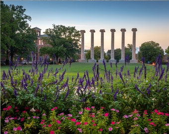 University Missouri, Mizzou Graduation, MU Tigers, Mizzou Columns, Graduation Gift, Mizzou Wall Art, Mizzou Alumni Gift