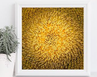 Sunflower Photography, Abstract Black and White, Sunflower Close-Up, Macro, Sunflower Print, Flower Poster, Sunflower Wall Art, Canvas Wrap