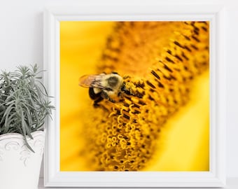 Sunflower Photography, Bumble Bee Print Bee Wall Print, Sunflower Close-Up, Sunflower Print, Flower Poster, Sunflower Wall Art, Canvas Wrap