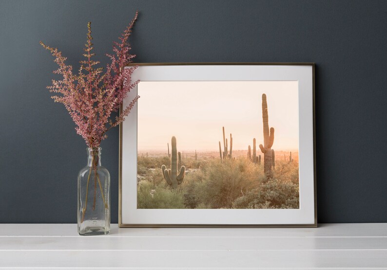 Desert Wall Art, Modern Cactus Print, Boho Wall Decor, Southwestern Decor, South Western Print, Phoenix Desert Print, Nature Wall Art image 5