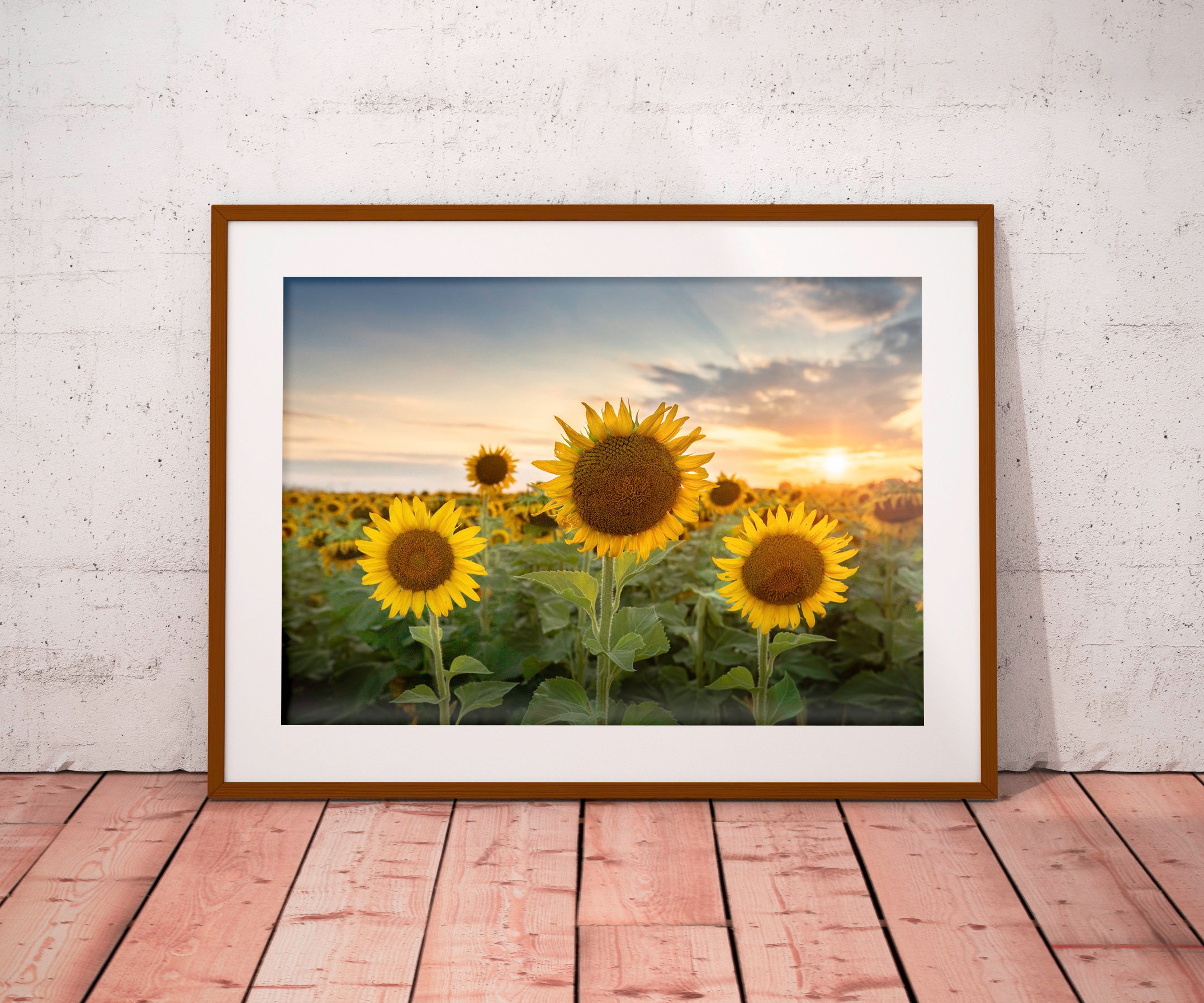 Sunflower Poster Sunflower Photography Kitchen Decor - Etsy