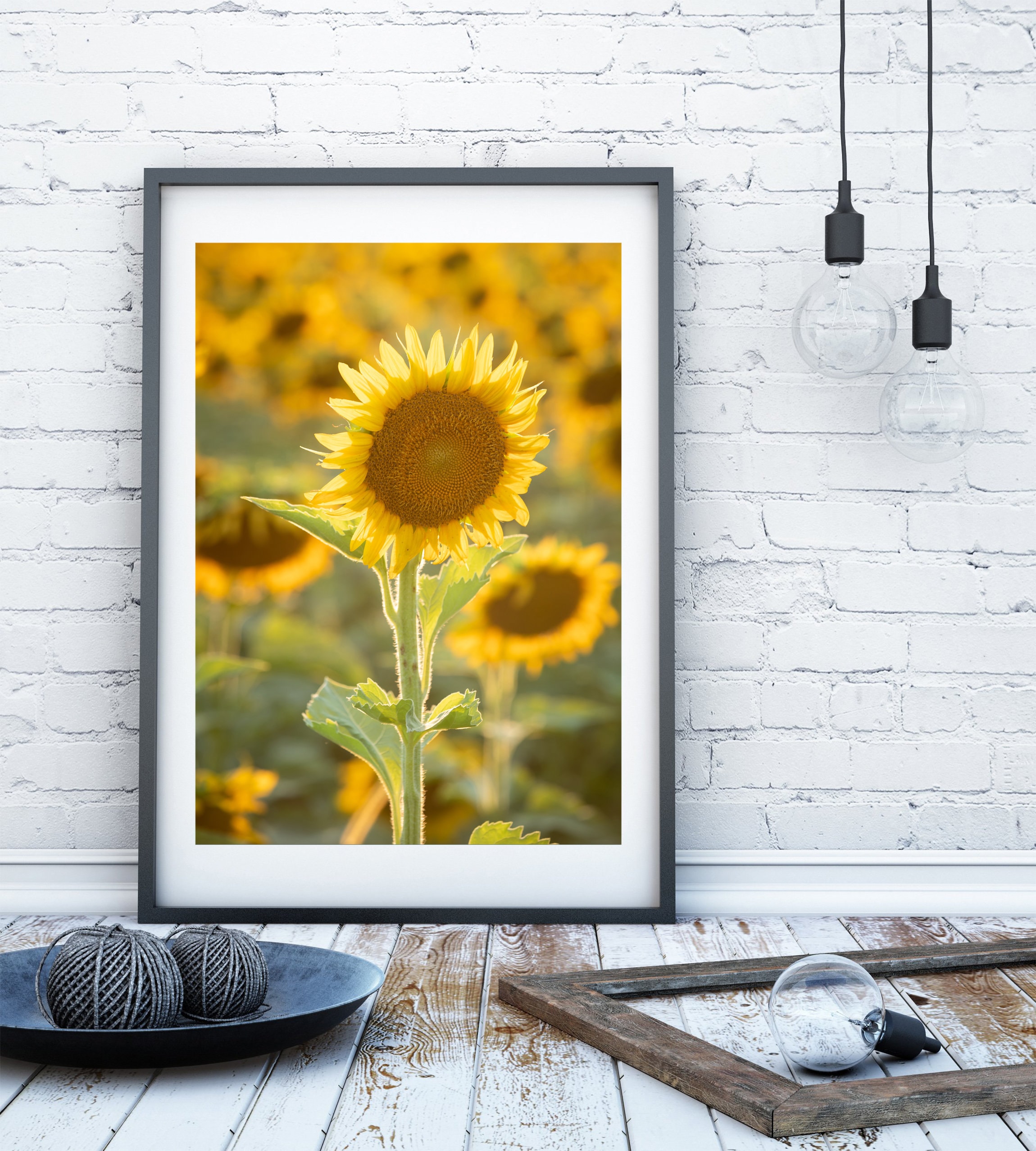 Sunflower Print Flower Photography Flower Decor