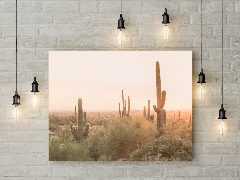 Desert Wall Art, Modern Cactus Print, Boho Wall Decor, Southwestern Decor, South Western Print, Phoenix Desert Print, Nature Wall Art image 1