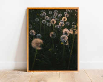 Flower Print, Flowers, Montana Art, Montana Artist, Montana Photography, Macro Print, Whimsical Print, Large Wall Decor, Decor "Just Dandy"
