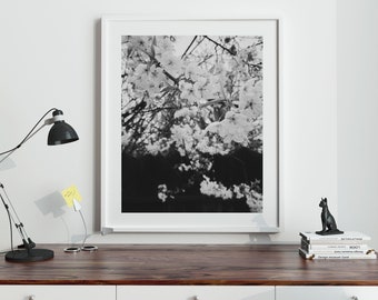 Botanical Art, Botanical Print, Black, Nature Print, Nature Photography, Plants Print, Plant Art Print, Plant Artwork, Printable "Blossom"