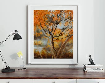 Imprimé arbre, Orange, Art mural imprimable, Estampes colorées, Beaux-Arts, Art d’automne, Automne, Oeuvres imprimables, Décor d’automne, Imprimable, " Arbre de feu "
