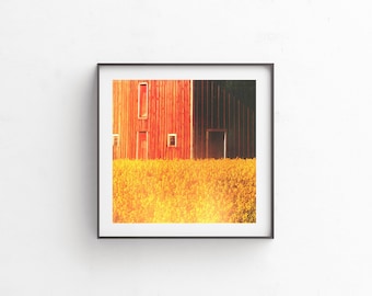 Red Barn Print, Fine Art Photography, Digital Download, Printable Art, Dreamy Decor, Wall Decor, Nature Photography, Red Barn "Red Canola"