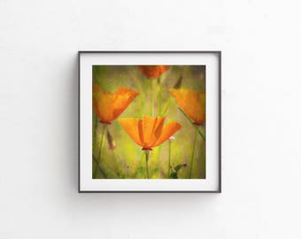 Flower Print, Red, Poppies, Wildflower Print, Orange, Flower, Digital Download, Printable Art, Wall Art, Wildflower Art, Art "Sedona Poppy"