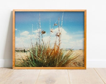 Large Wall Decor, Montana Art, Montana Photography, Female Owned, Wall Decor, Montana Print, Botanical Print, Flower Print "Yucca Bones"