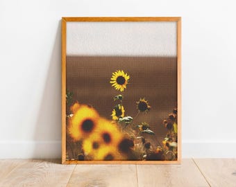Montana Print, Flower Print, Made in Montana, Wall Art, Flower Art, Flower Print, Sunflower Art, Sunflower, Montana Art, Abstract  "Hot One"