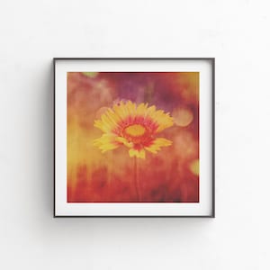 gifts for her, digital download, bright colorful art, wildflower print, floral photography, fine art, floral print, instant art &quot;Blanket&quot;