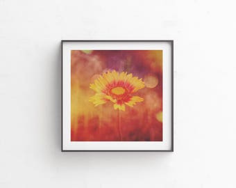 gifts for her, digital download, bright colorful art, wildflower print, floral photography, fine art, floral print, instant art "Blanket"