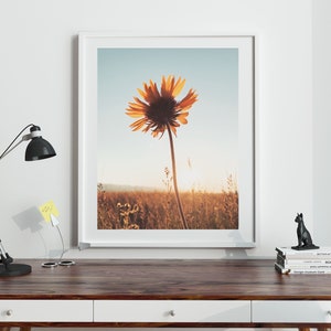 Botanical Art, Digital Download, Wildflower, Fine Art, Wildflower Print, Nature Print, Landscape Print, Botanical Print, Minimal &quot;Sunny D&quot;