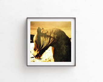 horse print, Horses, printable, instant download, horse photo, horse, horse art, western art, Montana Art, Digital Download, Art "Horsey"
