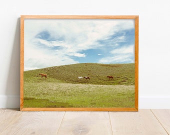 Montana Art, Montana, Fine Art, Fine Art Prints, Cowboy Art, Horse Art, Horses, Horse Print, Large Wall Decor, Wall Decor "Horsin Around"