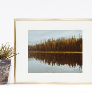 Nature Prints, Autumn Decor, Fall Decor, Printable Art, Printable, Moody Landscape, Landscape Print, Montana Art, Tree Art Larch Line image 4