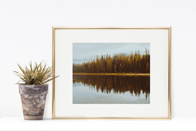 Nature Prints, Autumn Decor, Fall Decor, Printable Art, Printable, Moody Landscape, Landscape Print, Montana Art, Tree Art Larch Line image 4