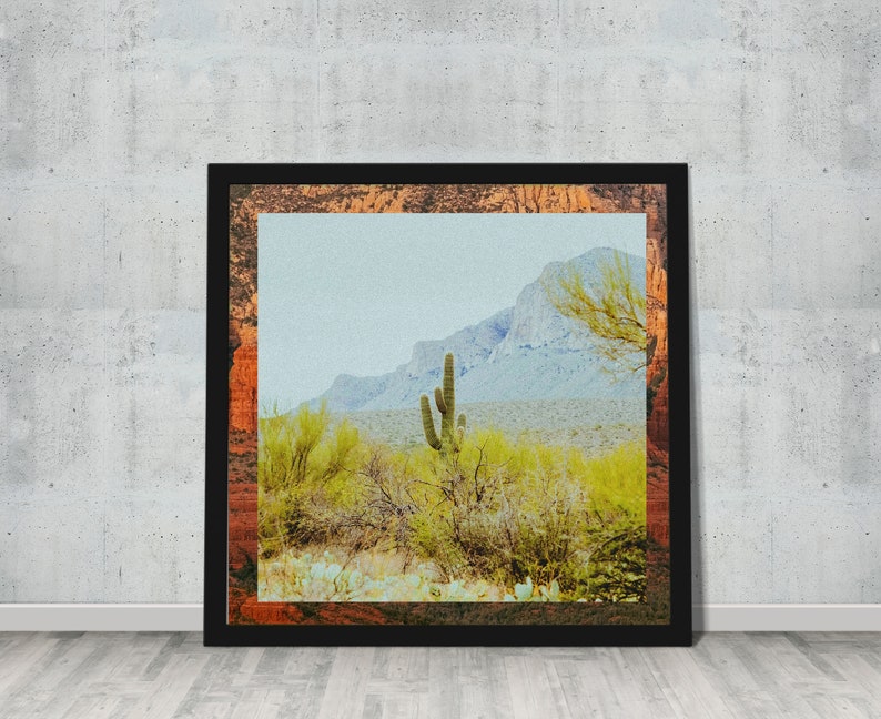 Wall Decor, Digital Download, Printable Art, Botanical Art, Desert Art, Cactus, Cactus Art, Modern Art, Fine Art, Colorful Art Tucson image 2