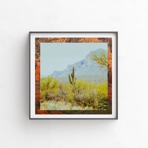 Wall Decor, Digital Download, Printable Art, Botanical Art, Desert Art, Cactus, Cactus Art, Modern Art, Fine Art, Colorful Art Tucson image 3