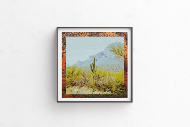 Wall Decor, Digital Download, Printable Art, Botanical Art, Desert Art, Cactus, Cactus Art, Modern Art, Fine Art, Colorful Art Tucson image 3