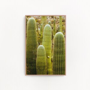 Cactus Artwork, Cactus Print, Cactus Art, Digital Download, Printable Art, Fine Print, Botanical Art, Wall Decor, Colorful Artwork &quot;Cacti&quot;