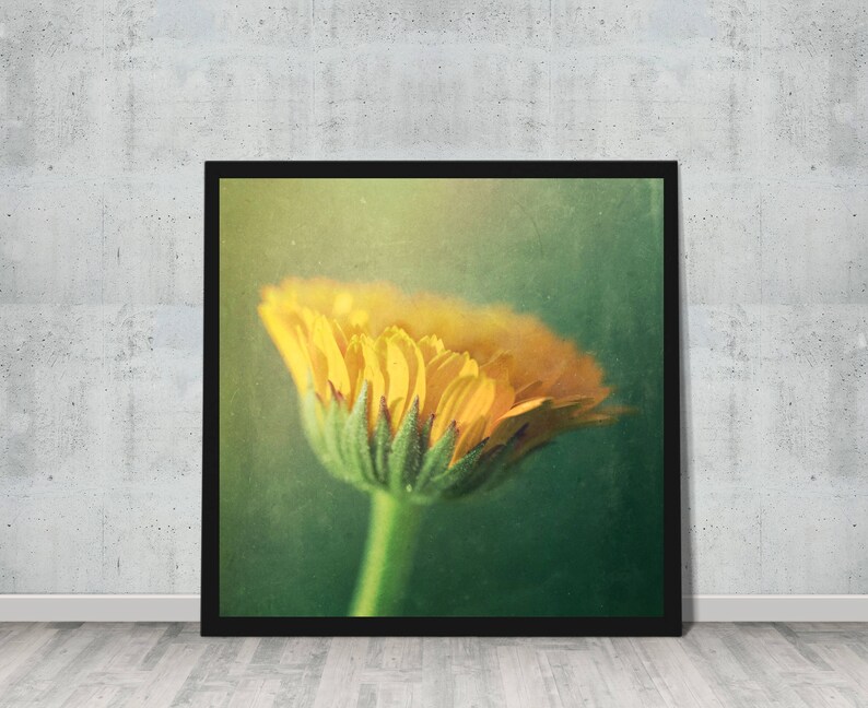 Floral Art, Gifts for Her, Instant Download, Digital Download, Nature Photography, Botanical Print, Botanical Art, Wall Decor BLOOMING image 2