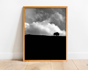Black and White, Cowboy Art, Western, Bison, Bison Art, Montana, Montana Photography, Montana Art, Fine Art, Wall Decor "King of the Hill"