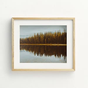 Nature Prints, Autumn Decor, Fall Decor, Printable Art, Printable, Moody Landscape, Landscape Print, Montana Art, Tree Art Larch Line image 5