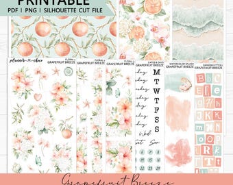 Grapefruit Breeze Journaling Add On : Printable Planner Stickers (PDF, PNG, Silhouette Cut Files)
