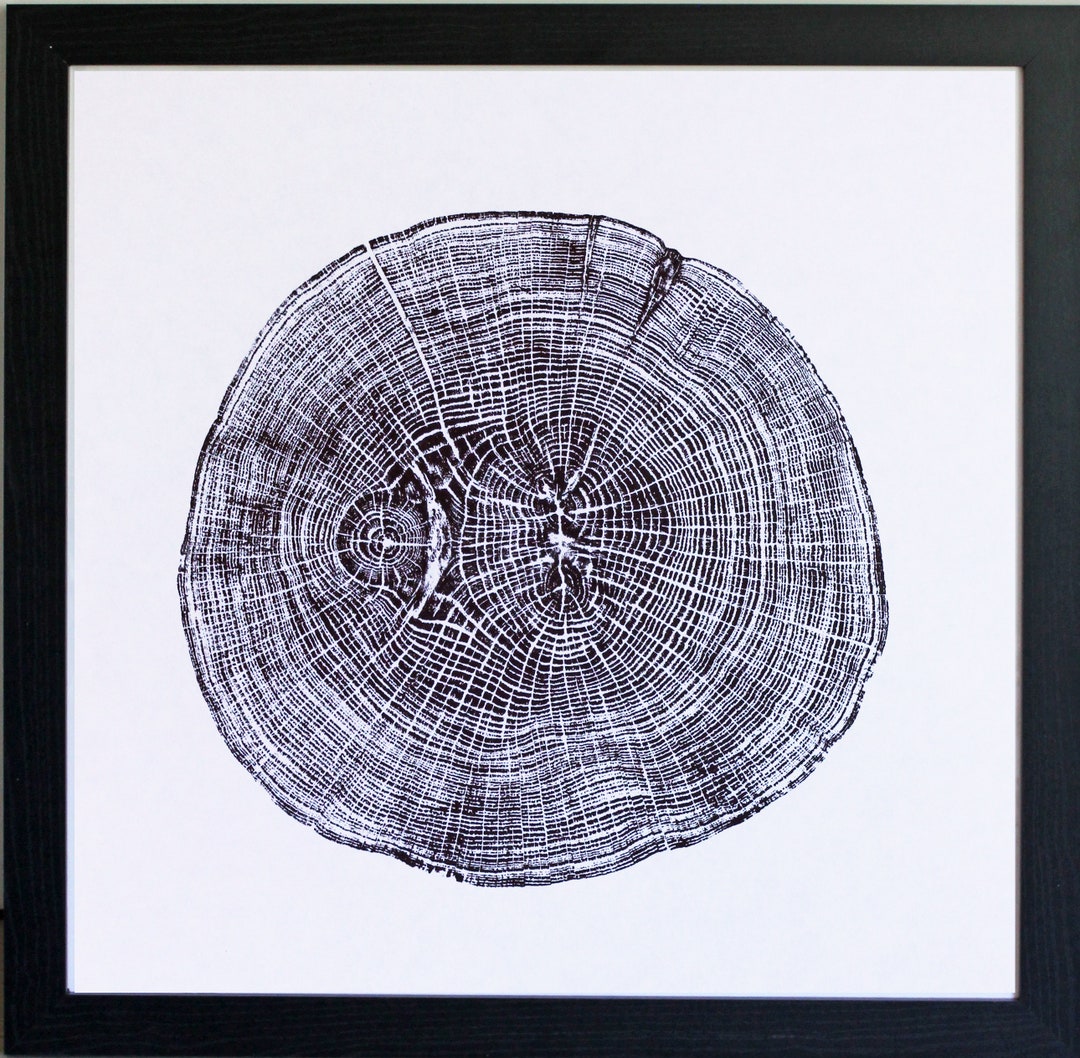 English Oak Hand Printed Tree Ring Art Print Black 40cm - Etsy